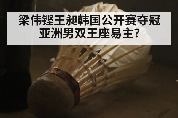 梁伟铿王昶韩国公开赛夺冠 亚洲男双王座易主？